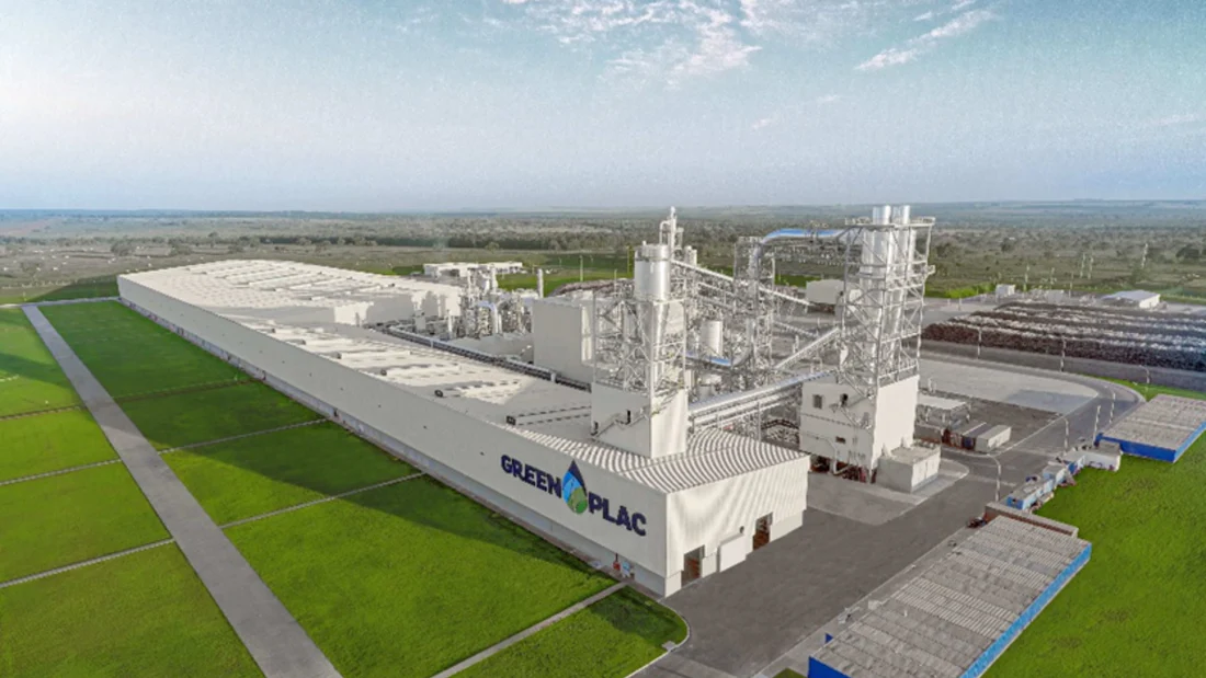 Greenplac investe 120 milhões em florestas